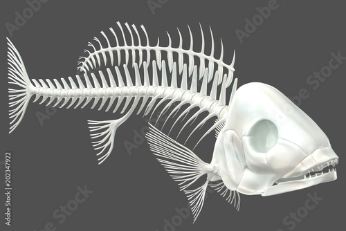 Photography 3d render of a fish skeleton on a neutral grey background