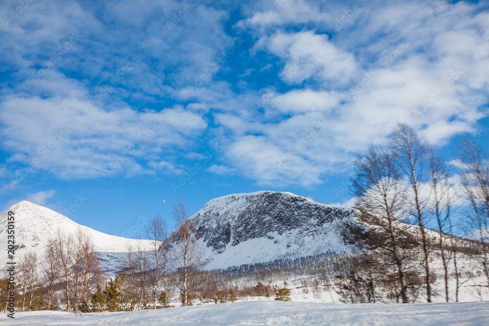 Panorama of summer landscape in Norway - stones, mountings Panorama of summer landscape in Norway - stones, mountings