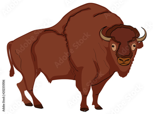 Animal artiodactyl, bison, cow. Comic book style imitation. Object on white background. photo