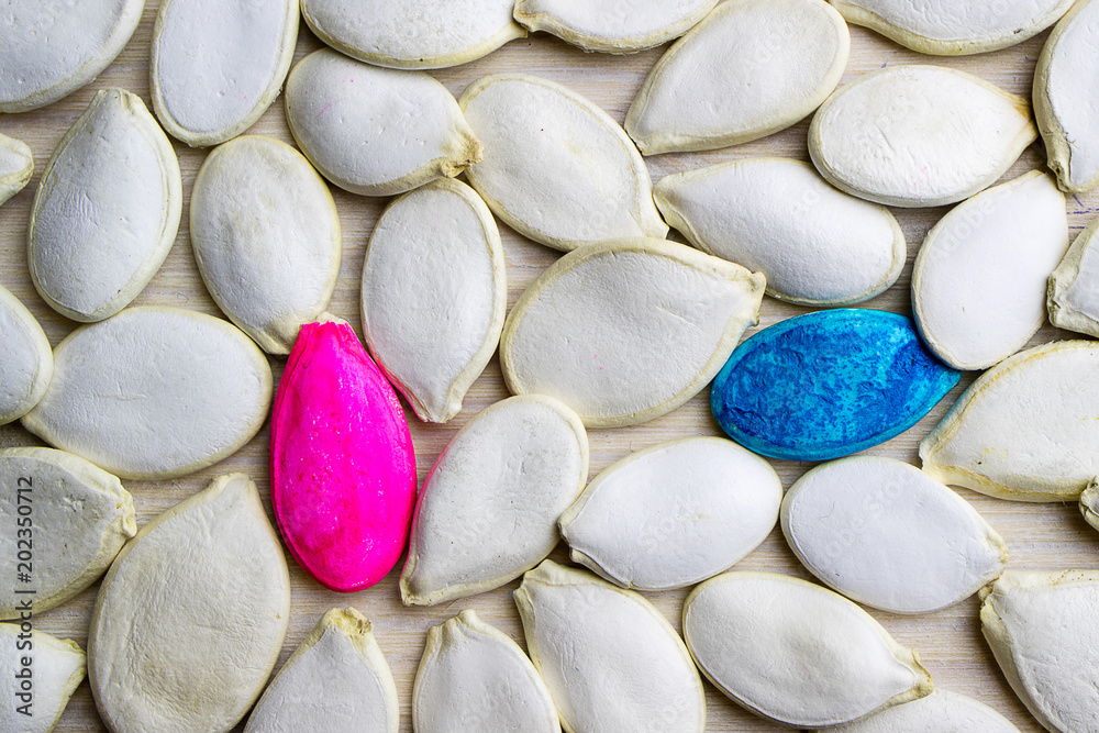 not like everything, colored seeds of a pumpkin of blue and red color among white seeds not like everything, colored seeds of a pumpkin of blue and red color among white seeds