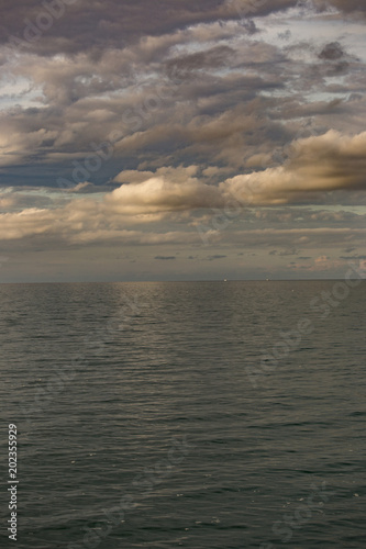 mare