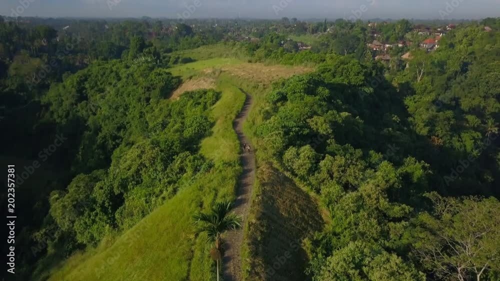 Aerial view of love couple walking Campuhan Ridge Walk at sunrise drone footage Aerial view of love couple walking Campuhan Ridge Walk at sunrise drone footage