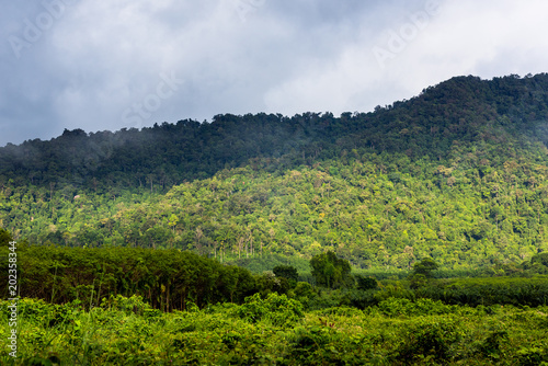 Mountains in tropical rainforest Thailand