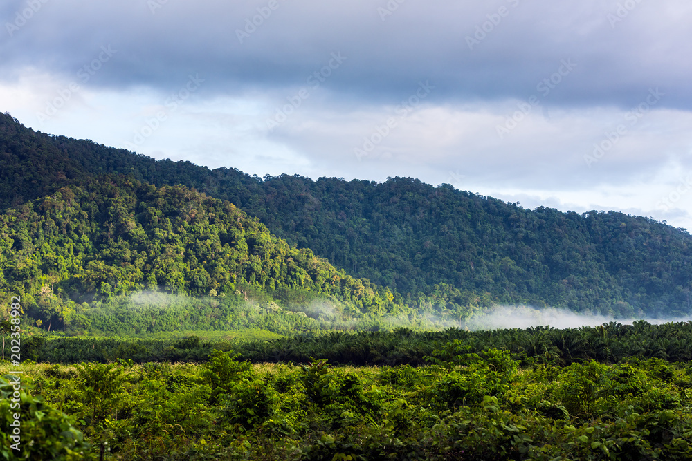 Mountains in tropical rainforest Thailand