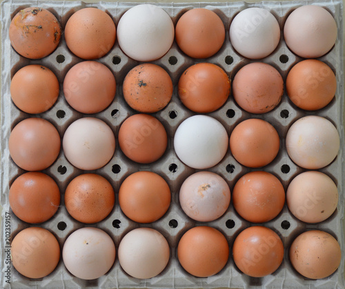 Whole plate full of eggs of different colours in symmetry