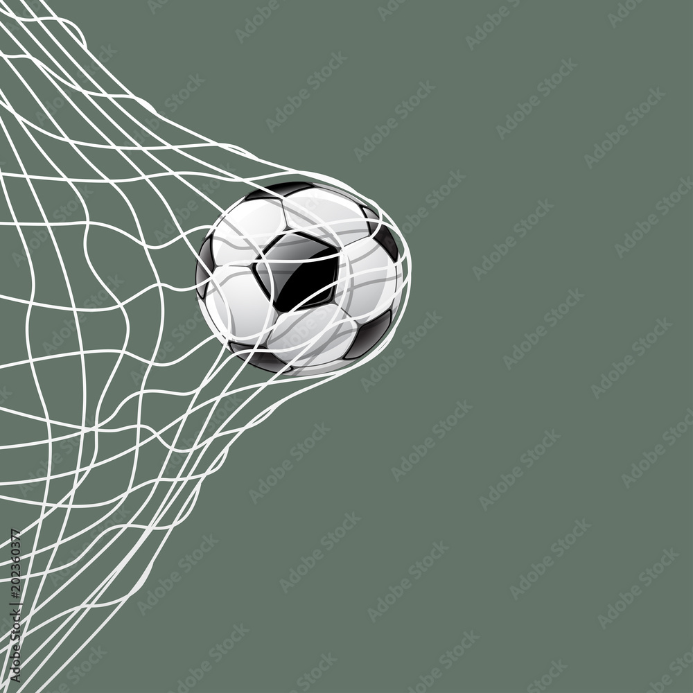 Soccer ball in net, vector illustration