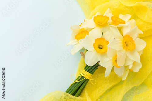 Fototapeta Naklejka Na Ścianę i Meble -  Daffodil bouquet with yellow textile decoration on blue pastel background with copy space.