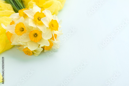 Fototapeta Naklejka Na Ścianę i Meble -  Daffodil bouquet with yellow textile decoration on blue pastel background with copy space.
