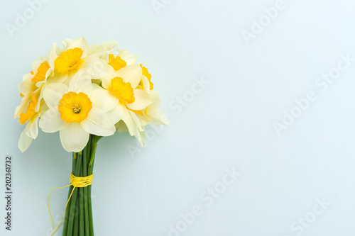 Fototapeta Naklejka Na Ścianę i Meble -  Spring flowers daffodil bouquet - top view of white narcissus on blue pastel background with copy space.