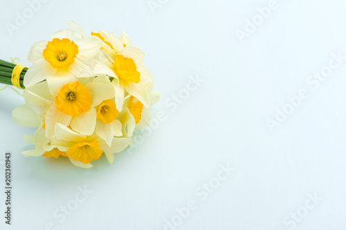 Fototapeta Naklejka Na Ścianę i Meble -  Spring flowers daffodil bouquet - top view of white narcissus on blue pastel background with copy space.