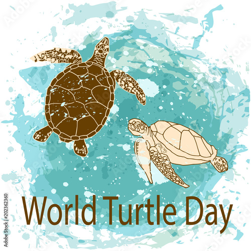 World Turtle Day concept