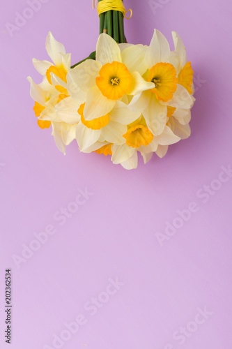 Fototapeta Naklejka Na Ścianę i Meble -  White daffodil bouquet on violet pastel background with copy space.