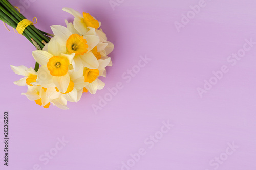 Fototapeta Naklejka Na Ścianę i Meble -  White daffodil bouquet on violet pastel background with copy space.