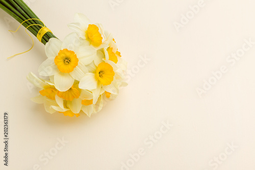 Fototapeta Naklejka Na Ścianę i Meble -  White daffodil bouquet on yellow pastel background with copy space.
