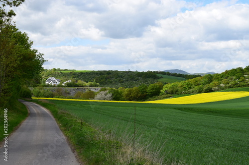 Hügel des Netttetal bei Polch photo