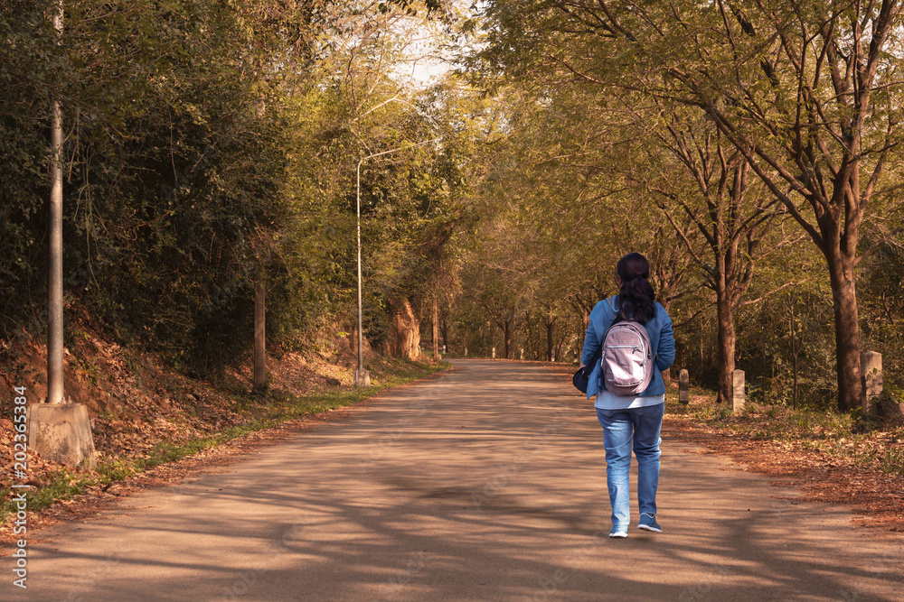 Fototapeta premium Kaeng Krachan National Park, Phetchaburi, Thailand. A woman walking alone on the road among forest.