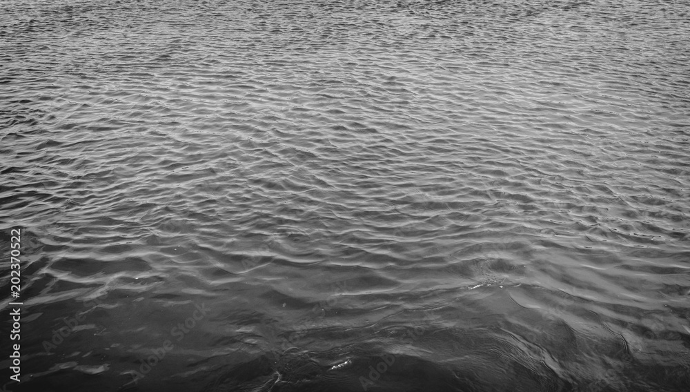 Abstract water background. River. Dark water. Black and white water texture. Nature background Abstract water background. River. Dark water. Black and white water texture. Nature background