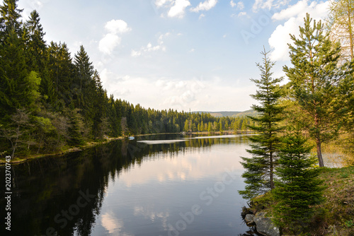 See im Frühling Fichtelsee im Wald