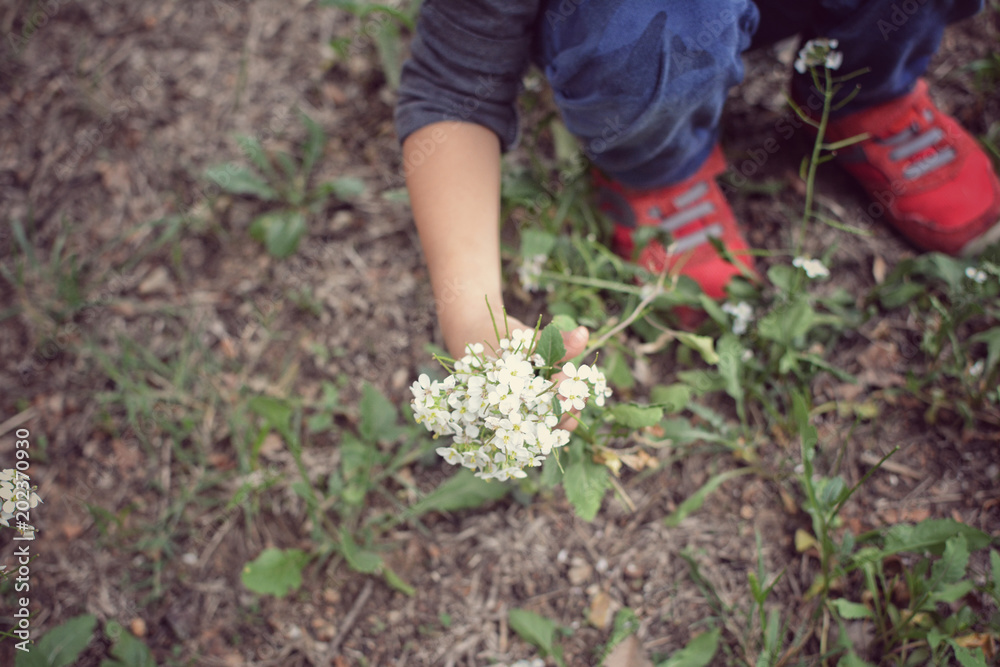 CLOSE UP CHILD SQUATTING AND HOLDING A BOUQUET OF WHITE FLOWERS