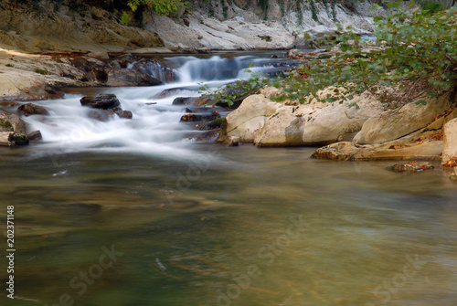 Vereda