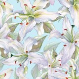 Pattern with lilies 2. Floral seamless watercolor background with white flowers.