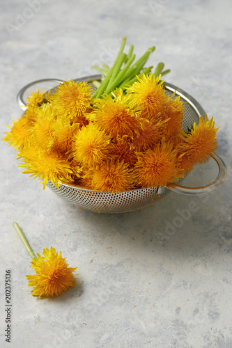Fototapeta Naklejka Na Ścianę i Meble -  Dandelion flowers in colander
