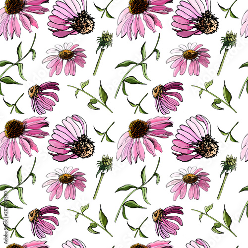 Floral seamless pattern  with hand drawn graphic and   colored sketch with echinacea flowers  on white background. photo