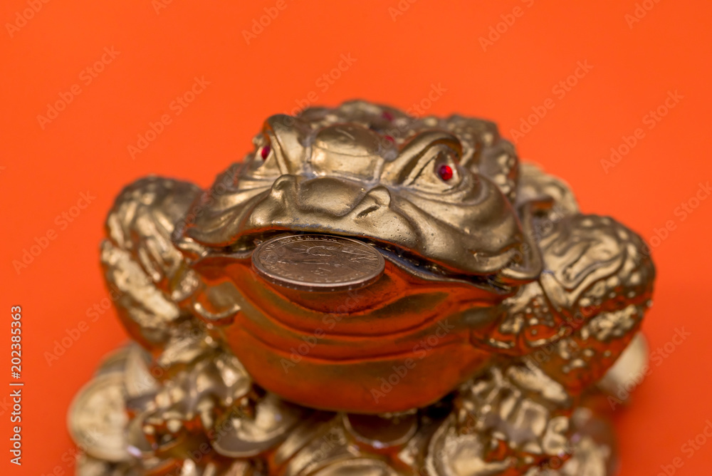 usa coin in frog bank isoalted on orange