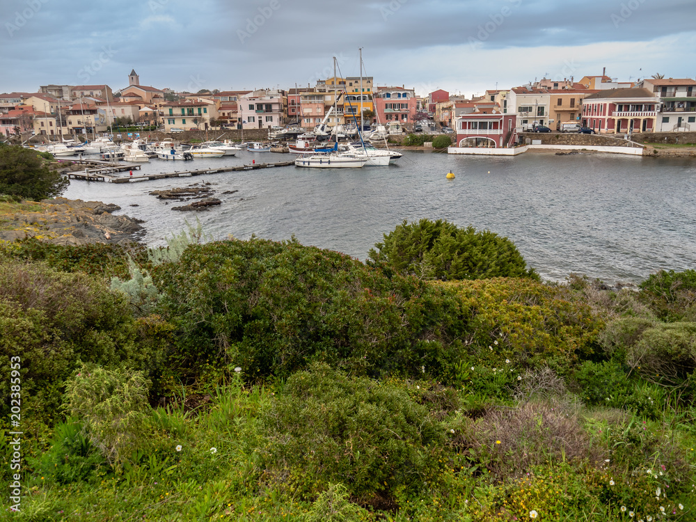 View of the city of Stintino, island of Sardinia