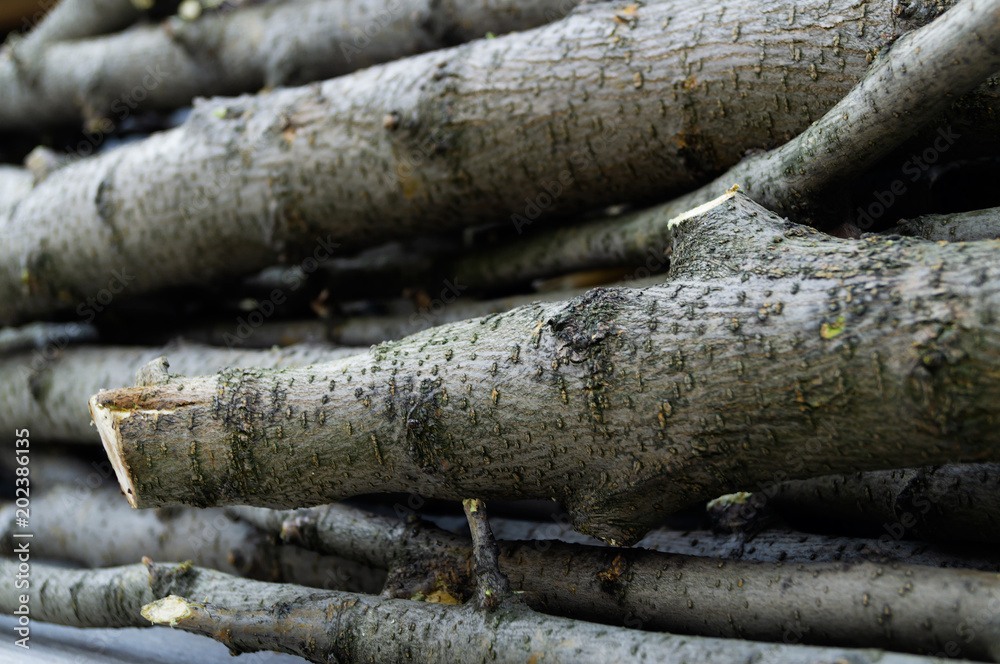 Fragment of a heap of branches and tree trunks after deforestation. Fragment of a heap of branches and tree trunks after deforestation.