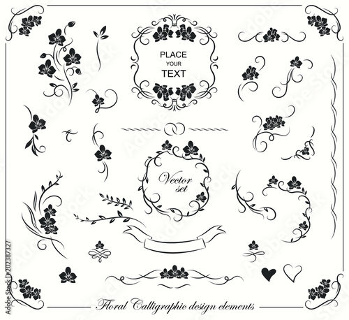 Set of floral frames, borders, labels, corners. Collection of original design elements. Vector calligraphy swirls, swashes, ornate motifs. 