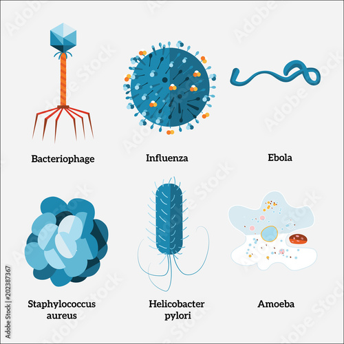 Various types of microorganisms. Viruses and bacteria. Vector illustration.