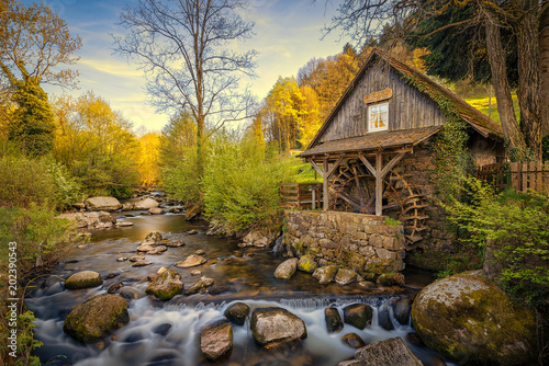 Schwarzwald Mühle