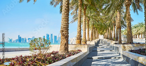 Fototapeta Seascape przez zieleń, Doha, Katar
