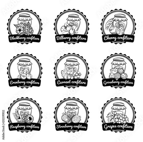 Berry labels set isolated 