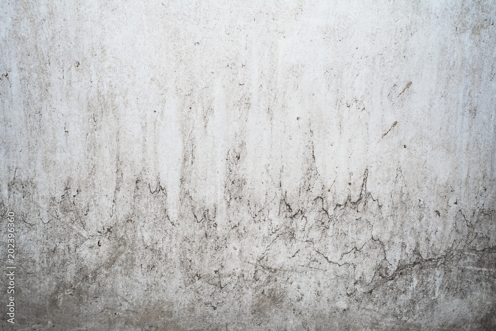 Obraz premium grunge light gray texture of an old wall with black divorces, white surface with smudges, abstract background
