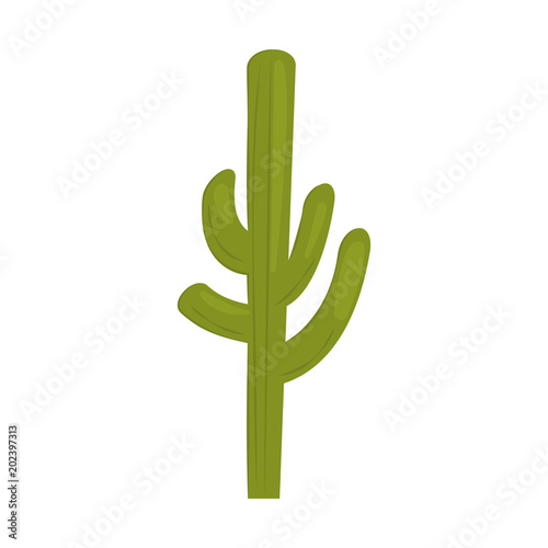 Cactus color icon for web and mobile design. Flat vector illustration isolate on a white background.
