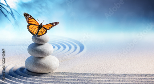 Photo Butterfly On Spa Massage Stones In Zen Garden