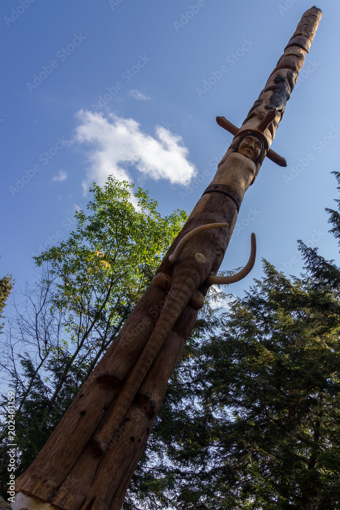Fototapeta premium Beaver Lake in Parc Omega (Canada)
