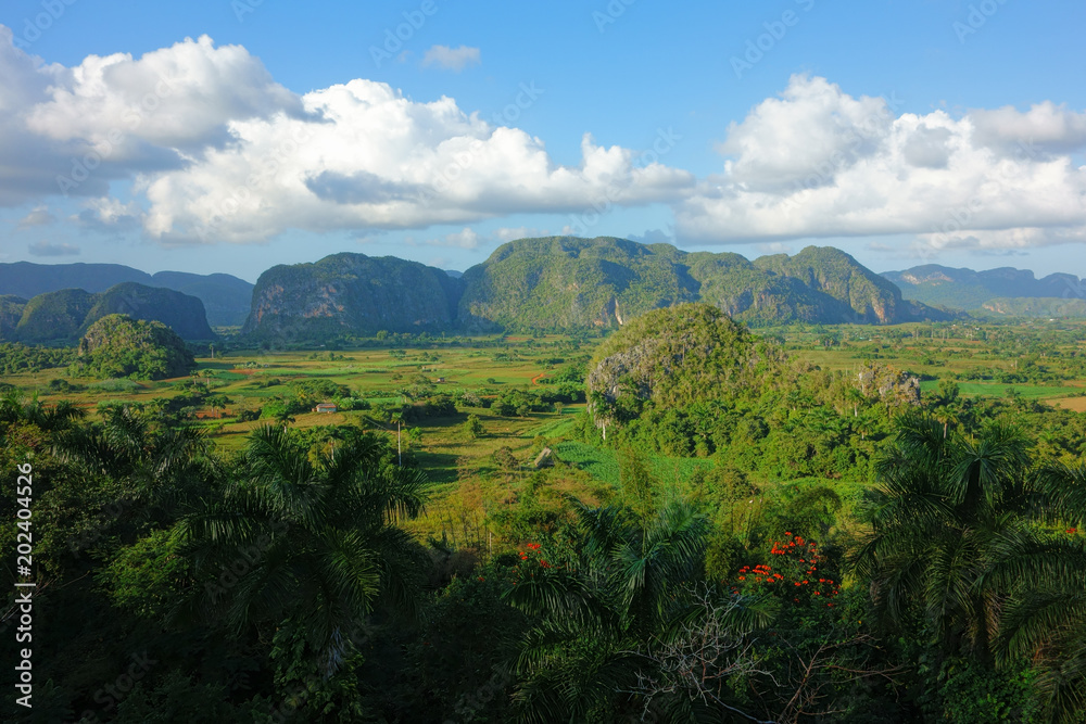 Lush green nature of the Valle de Vinales in Pinar del Río Province in Western Cuba in evening light on 20 December 2013.