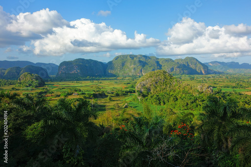 Lush green nature of the Valle de Vinales in Pinar del Río Province in Western Cuba in evening light on 20 December 2013.