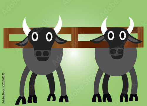 Plough Oxen