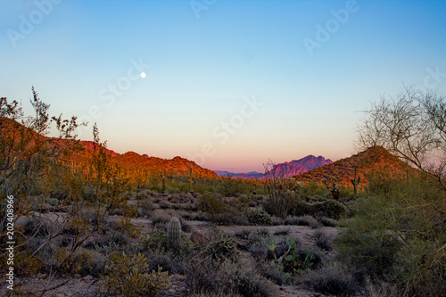 Sun Setting over the Sonora Desert