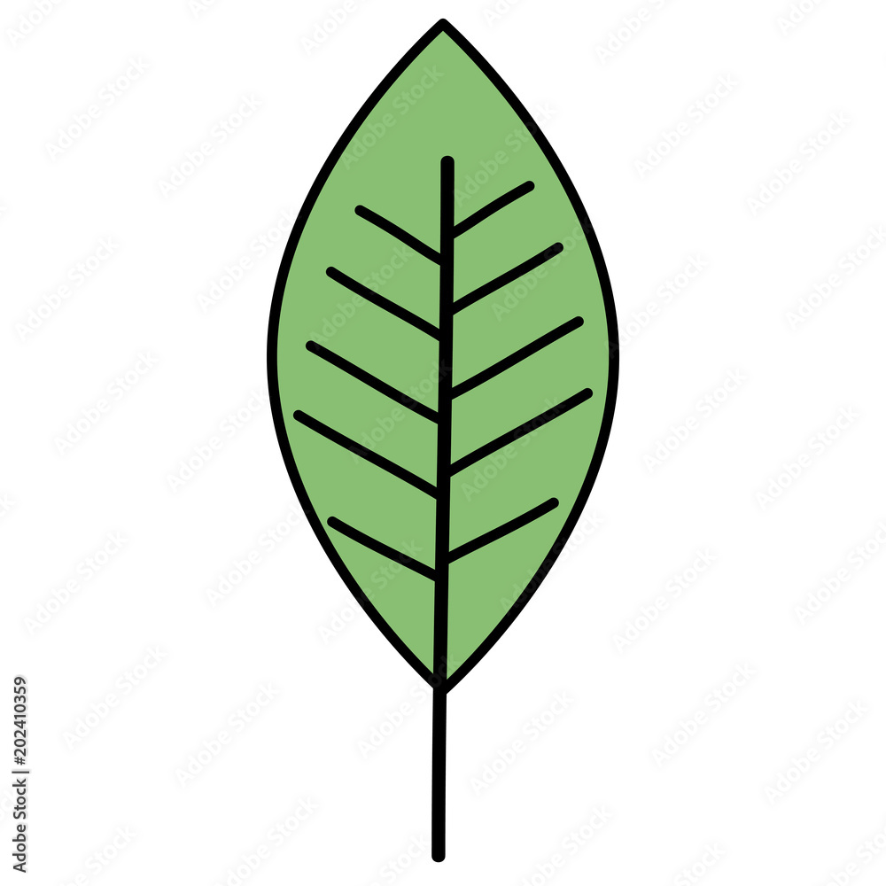leaf single decorative icon vector illustration design leaf single decorative icon vector illustration design