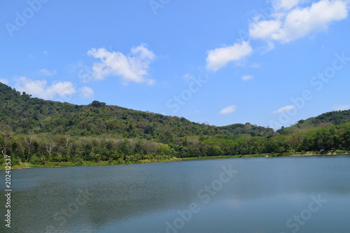 river and forest