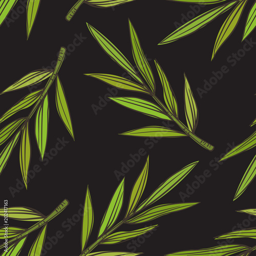 tropical leave palm tree image
