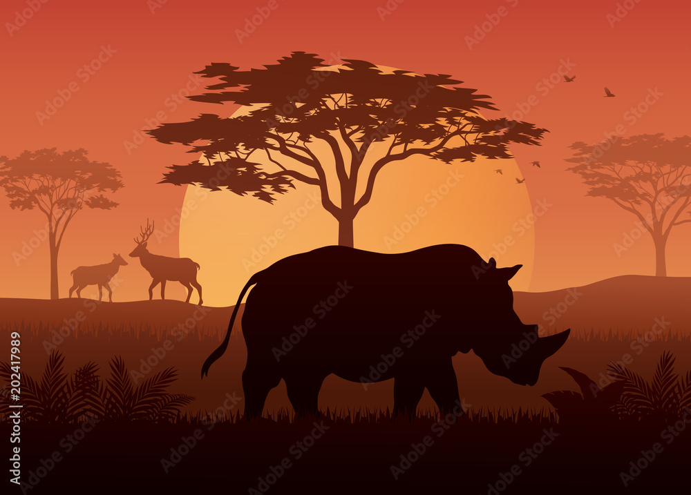 Obraz premium Silhouette of rhino at savanah 