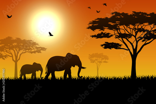 Silhouette of elephant in the savanna © dreamblack46