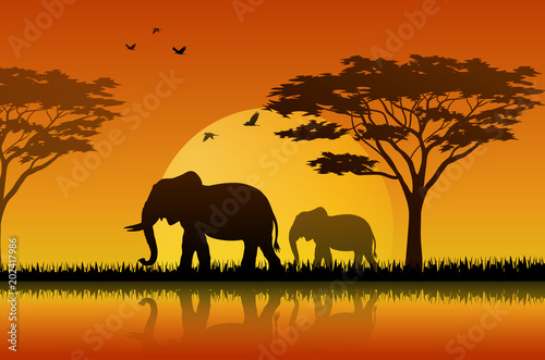 Silhouette elephant at lake of savanah  © dreamblack46