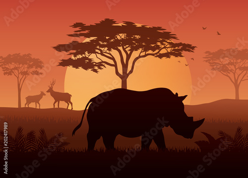 Silhouette of rhino at savanah 
